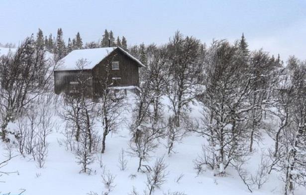 -40°C dans les pays nordiques... une vague de froid inédite 1 vis 0104202411341473