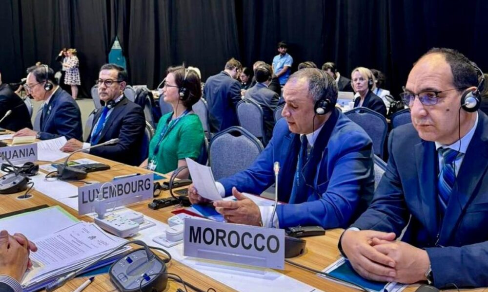 13e Conférence de l'OMC: le Maroc coparraine une déclaration en faveur de la réduction du commerce des plastiques nocifs 1 Mezzour OMC 1000x600 1