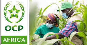 OCP AFRICA