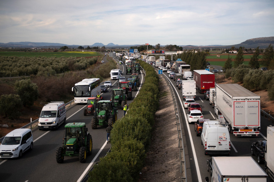 COMADER réagit aux attaques des produits agricoles marocains en Europe 1 agriculteurs espagne 1708002830