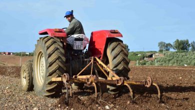agriculture labourer la terre 3016 1663164490