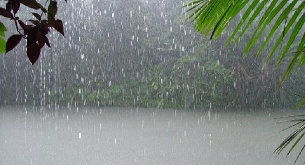 Météo du lundi 20 janvier 2025 : Gelées locales et pluie sur certaines régions 1 meteo pluie 071017