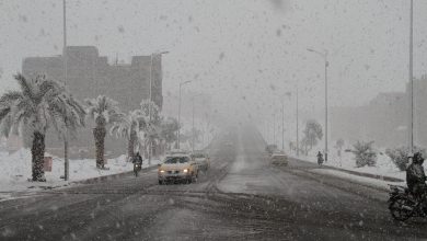 vis 0227202409415368