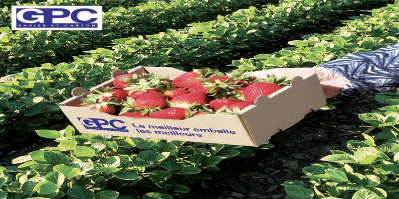 GPC – Papier et Carton Obtient la Certification BRCGS/Packaging 1 visuel 7