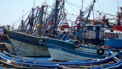 1200px essaouira port 1647253599