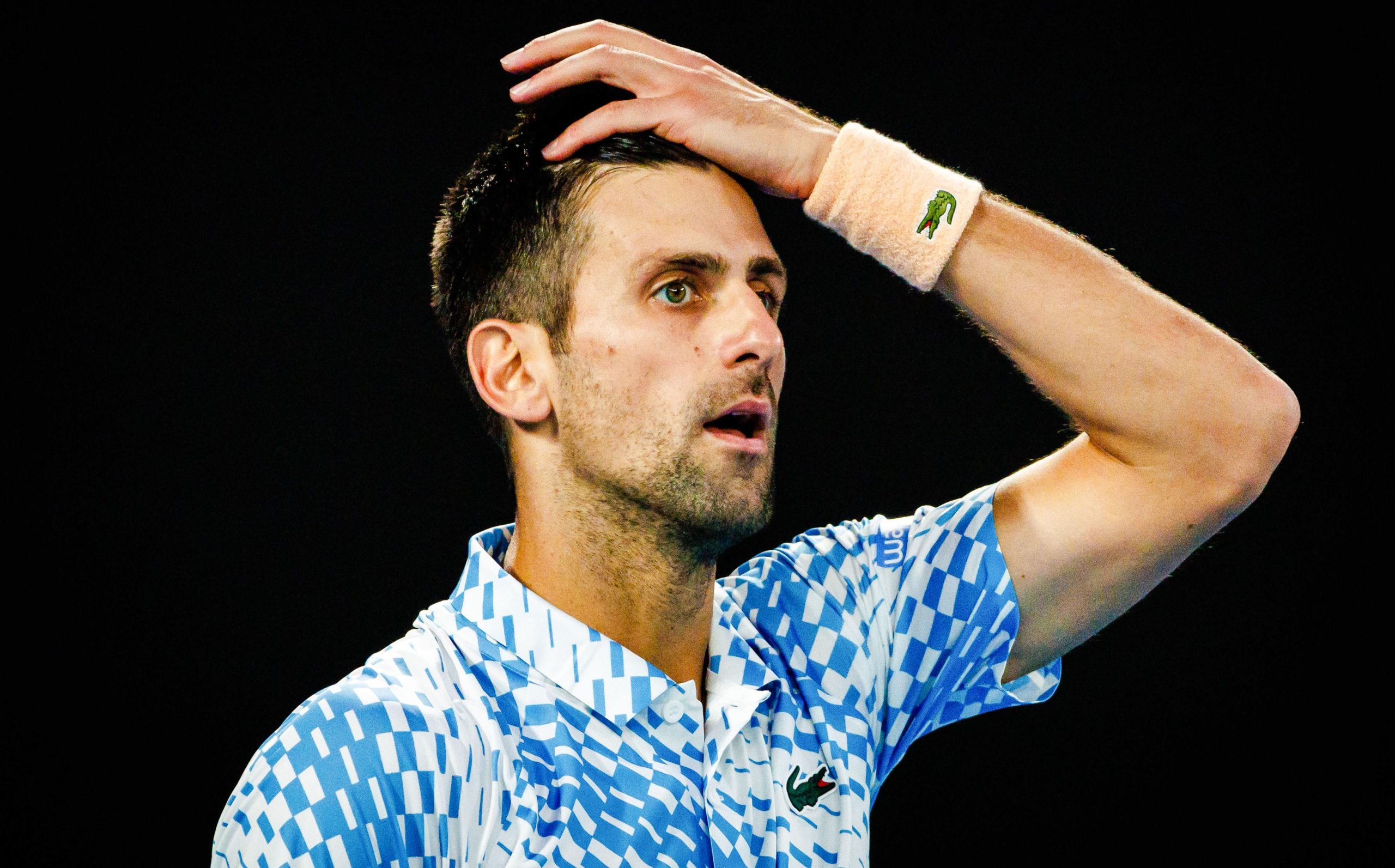 vis 0316202417095252 scaled