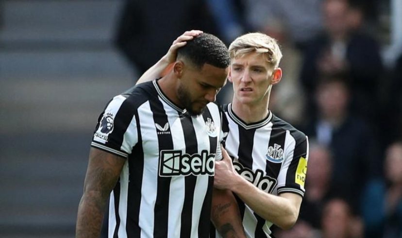 vis 0331202415133924