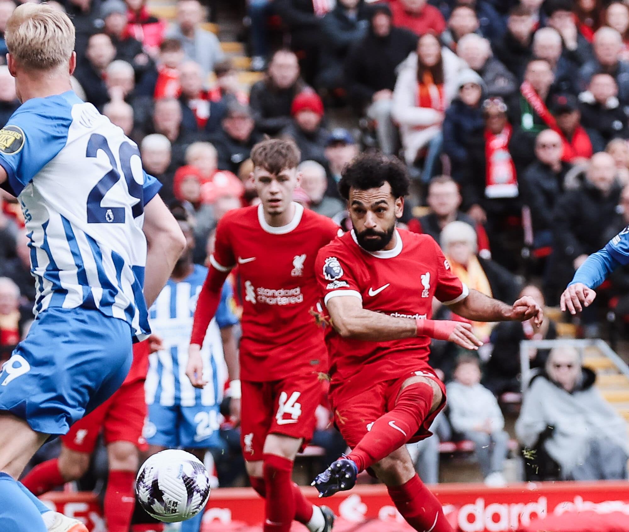 vis 0331202417221107