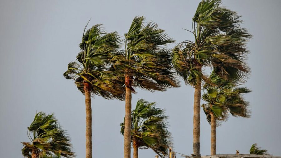 Météo : fortes rafales de vent, pluies et chutes de neige prévues ce dimanche 1 vis 1130202319543441