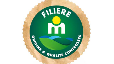 Logo FILIERE M e1709739766496 1