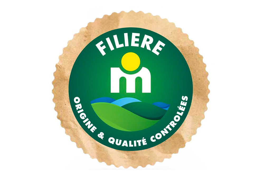 Logo FILIERE M e1709739766496 1