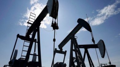 Opep production petrole 301116