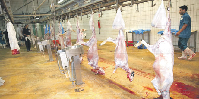 Rabat : Ouverture des nouveaux abattoirs de l’agglomération 1 abbattoirs 092