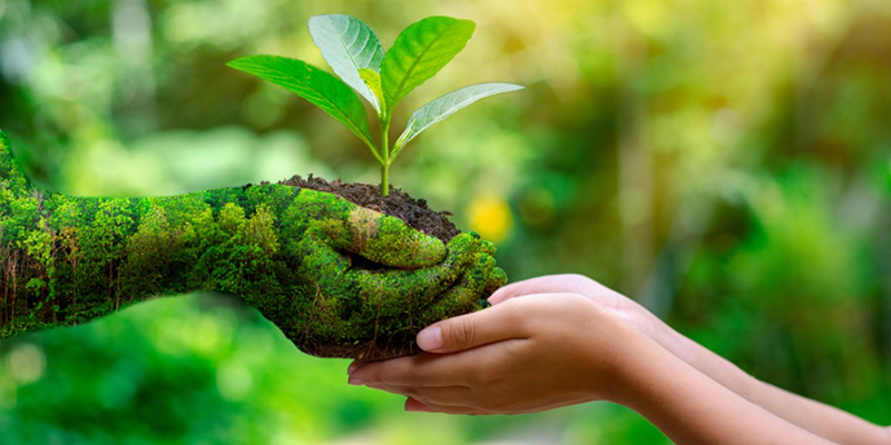 La jeunesse marocaine s'engage pour le développement durable à New York 1 dvt durable 800