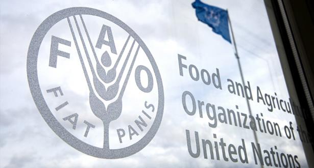 La Côte d'Ivoire bénéficiera d'un projet de la FAO destiné à promouvoir une agriculture résiliente 1 fao food 030920