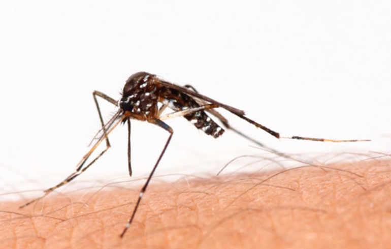 Côte d'Ivoire : réduction de 50% de la mortalité liée au paludisme 1 vis 0203202419510245