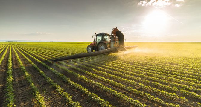Campagne agricole 2023/2024 : Perspectives prometteuses dans la région de Rabat-Salé-Kénitra 1 vis 0225202411415156 s