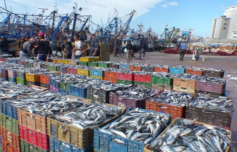 Hausse de 2% de la valeur des produits de la pêche commercialisés 1 vis 0413202414463469