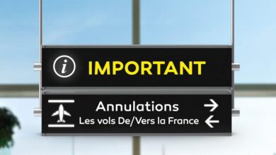 vis 0425202413004064
