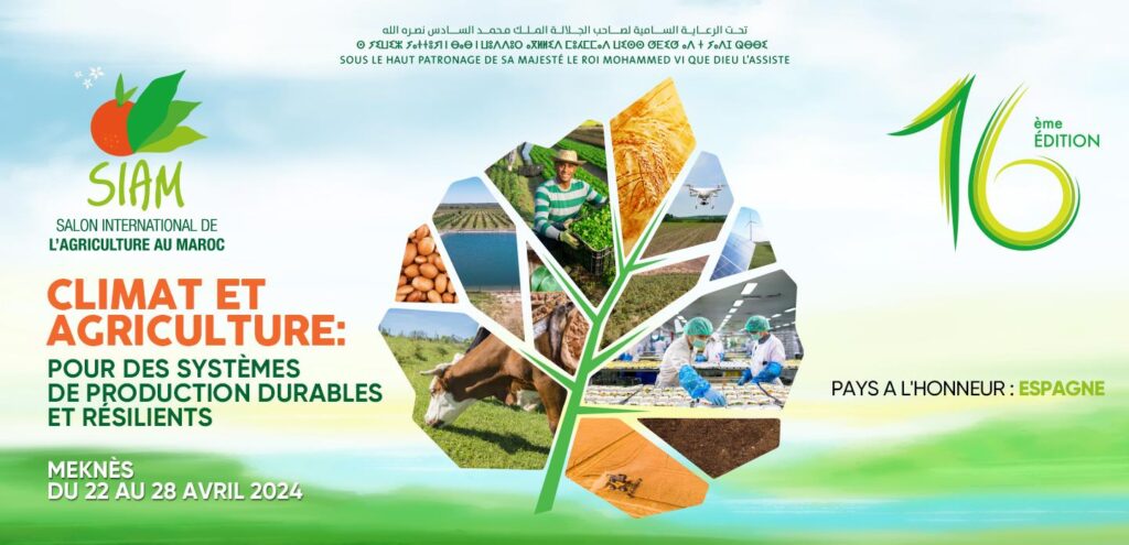 vis 0426202412053664