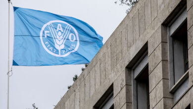 FAO 12227x0315