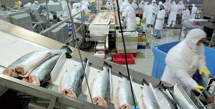 Casablanca : Coup d'envoi de la 3ème édition du Forum International de l'Industrie Halieutique au Maroc 1 Usine Poisson Industries de la peche