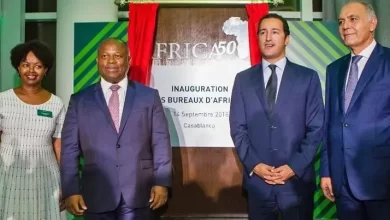 africa 50
