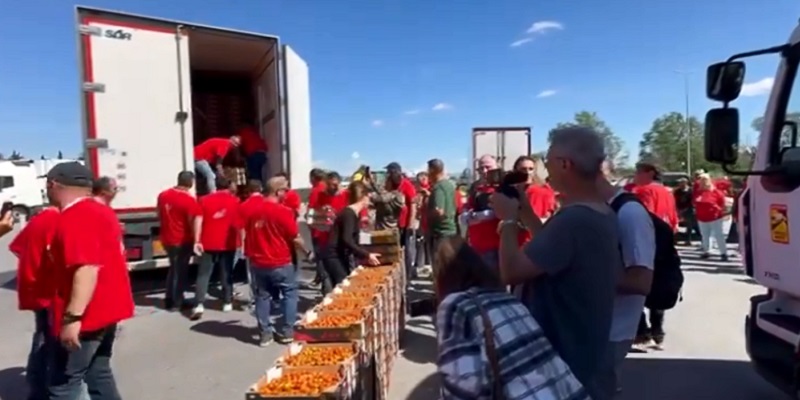 Nouvelles attaques contre la tomate marocaine : la Comader durcit le ton 1 attaques tomates marocaines
