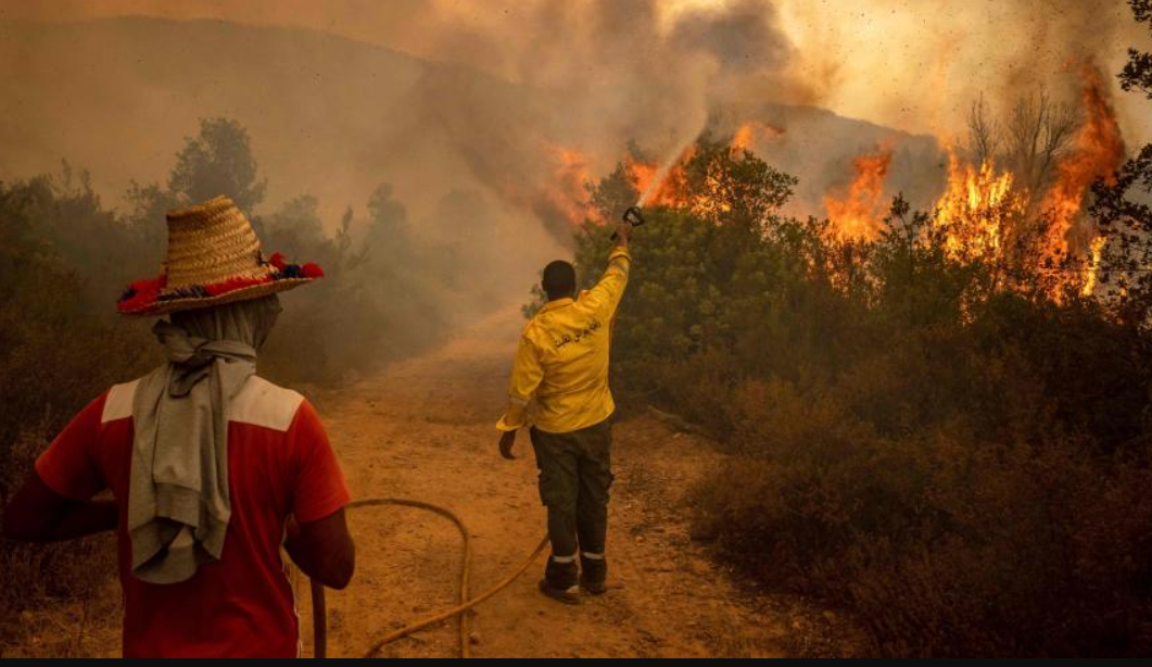 foret incendie