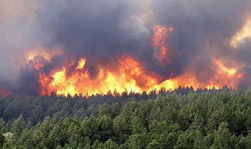 Rabat-Salé-Kénitra: Une campagne de sensibilisation aux risques d'incendies de forêts 1 incendie foret