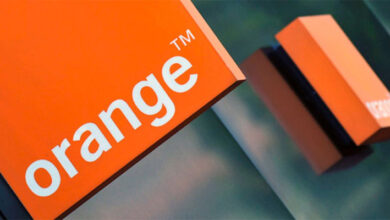 orange 24