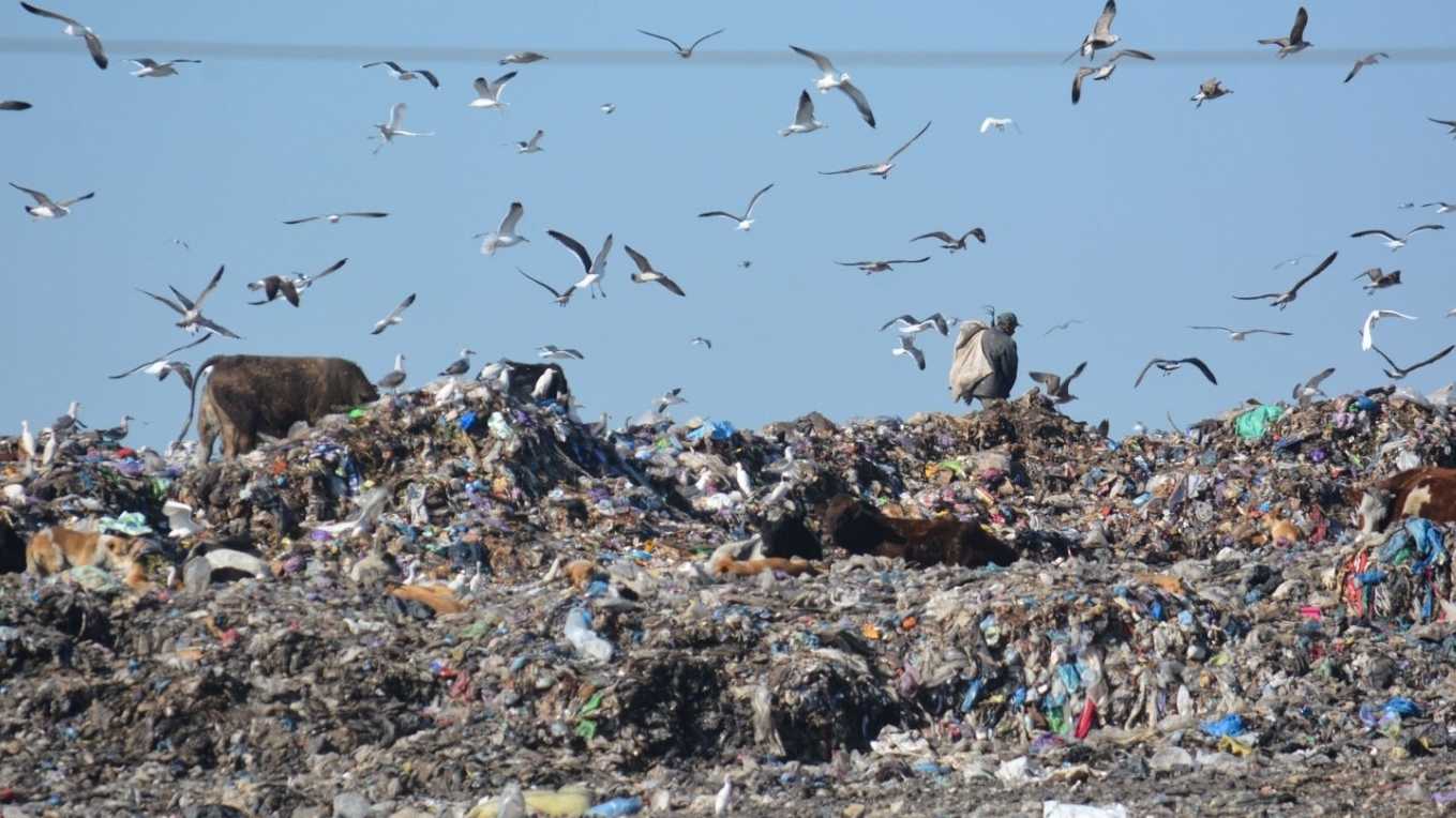 Déchets ménagers : Réalisation de 23 décharges contrôlées 1 slider 1667559767mediouna 1