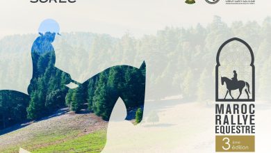 vis 0507202413114583