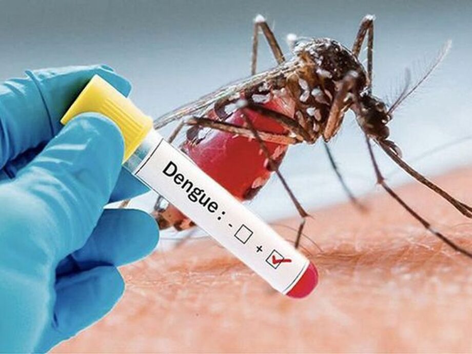 Dengue : le cap de 5 millions d'infections dépassés au Brésil 1 vis 1019202313352861