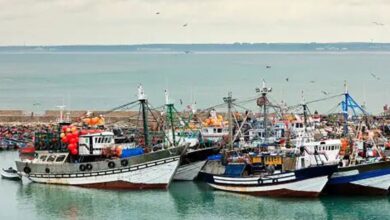 Port de Laayoune les debarquements de la peche en baisse de 27 a fin juin 1024x538 1