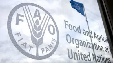 fao food 030920