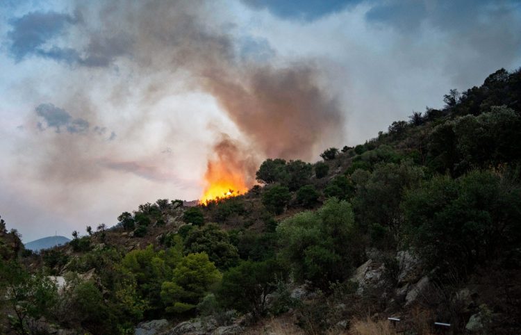 incendie 1 e1718790469498