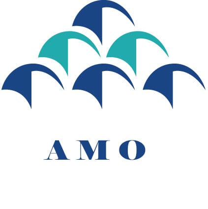 La Chambre des représentants adopte à la majorité un projet de loi relatif au régime d’assurance maladie obligatoire de base (AMO) 1 logo amo
