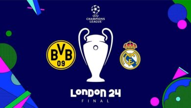 vis 0601202408482624