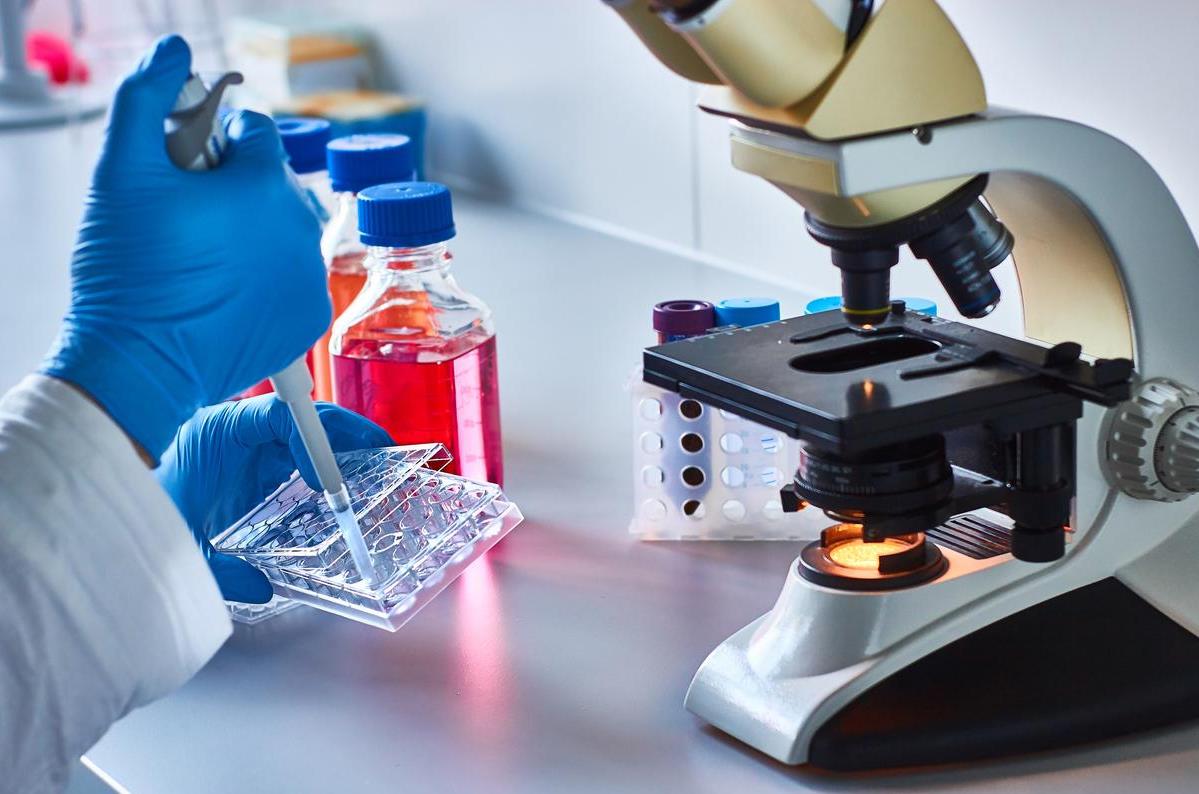 Des chercheurs français découvrent un mécanisme de protection contre le cancer 1 vis 0603202410505110