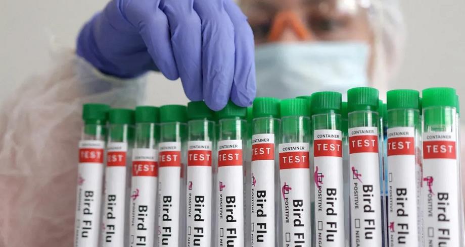 Grippe aviaire type H5N2 : l'OMS annonce un premier décès humain 1 vis 0606202407234566