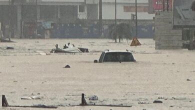 vis 0615202416220810