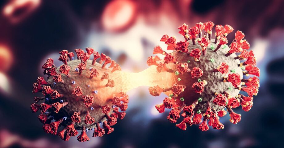 Coronavirus : Aucun virus ”Omicron XBB” en circulation au Sénégal 1 vis 0628202418300184