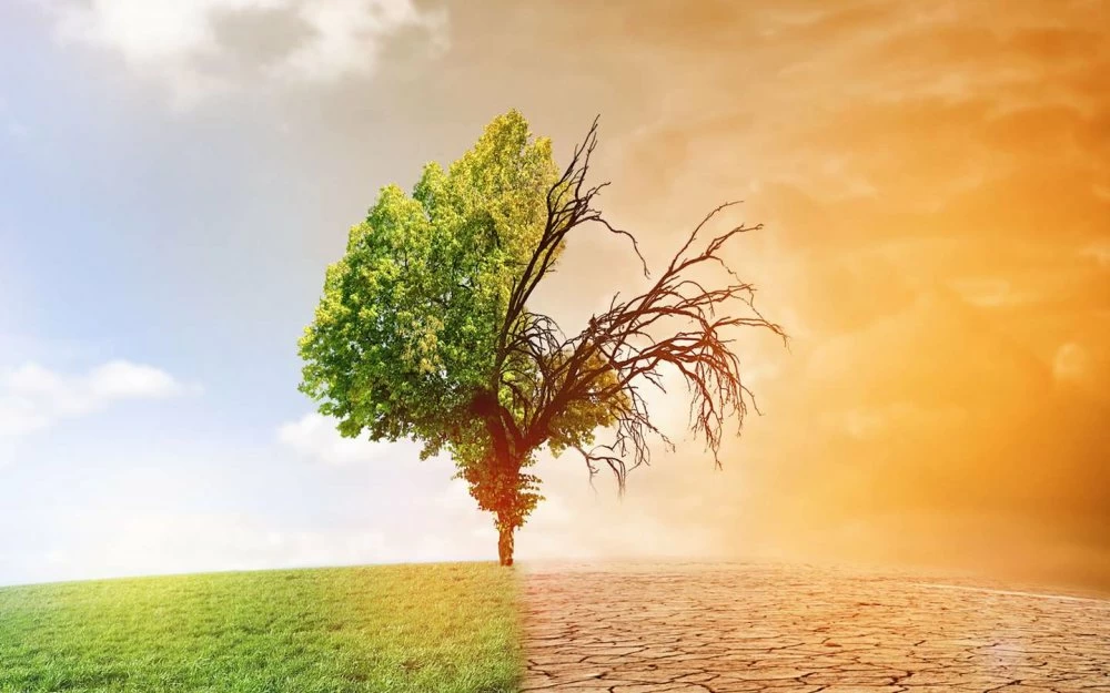 Le changement climatique pourrait causer la mort de 15 millions de morts d'ici 2050 1 330313