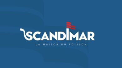 Logo Scandimar e1720444278744