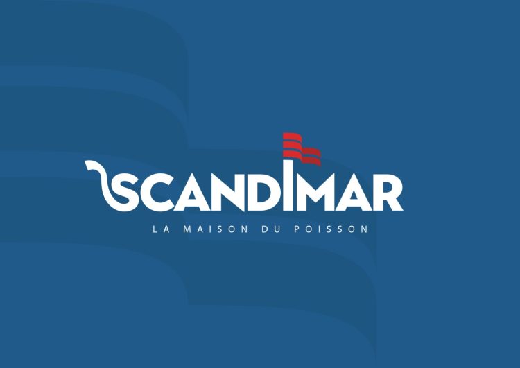 Holmarcom acquiert la majorité du capital de Scandimar 1 Logo Scandimar e1720444278744