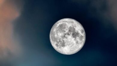 Lune e1721810566865