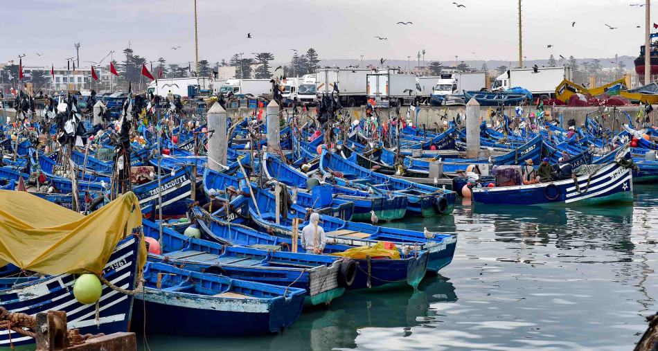 Port d’Essaouira : Hausse de 110% des débarquements de pêche à fin juin 1 PORT