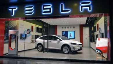 Tesla e1719930802575
