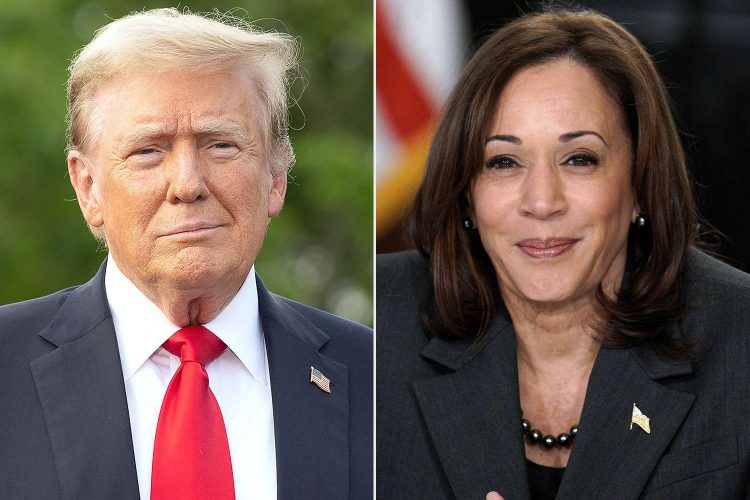 Campagne Présidentielle aux États-Unis : Harris et Trump Intensifient leurs Actions dans les États Clés 1 Trump Harris e1721816711799